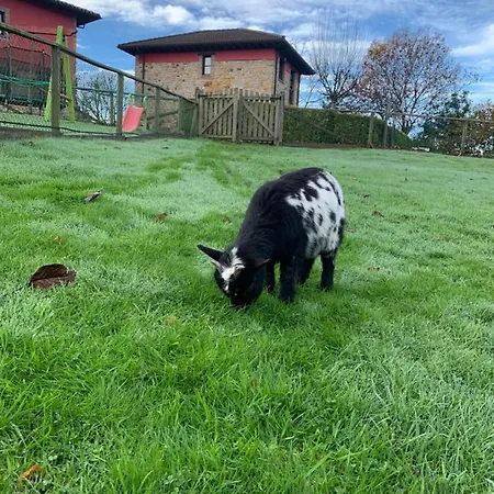 La Quintana De Apartamento Romillo